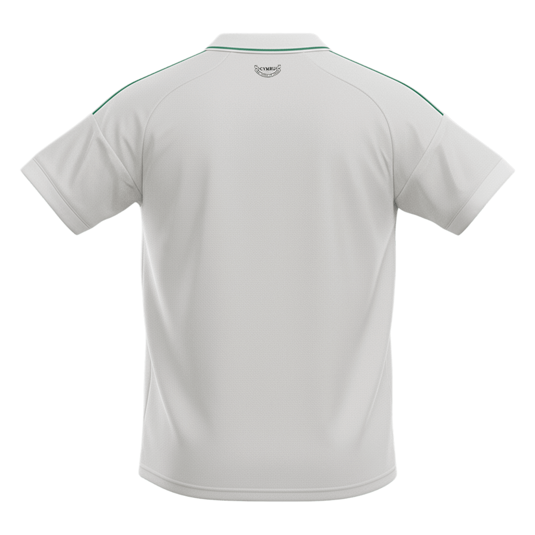 Wales Away Soccer Jersey World Cup 2026